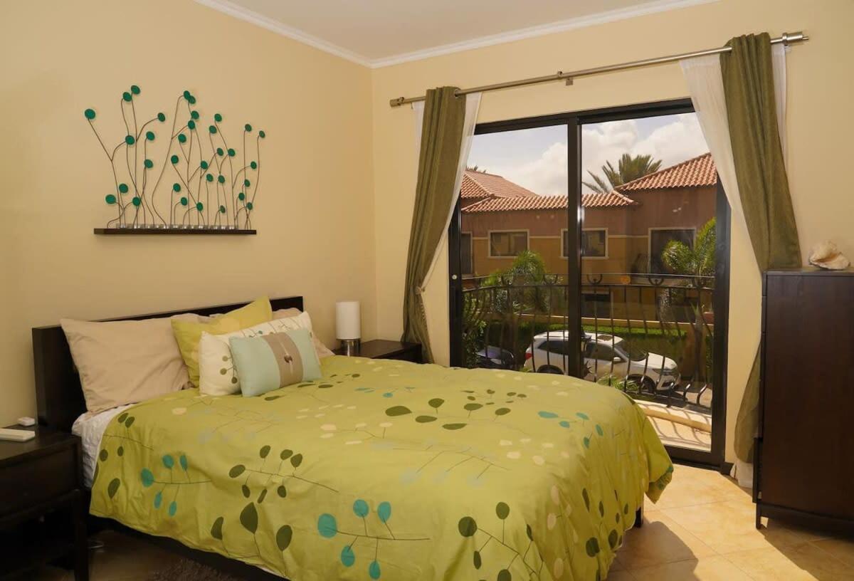 Spectacular House In Gold Coast Villa Palm Beach ภายนอก รูปภาพ